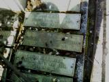 image of grave number 384249